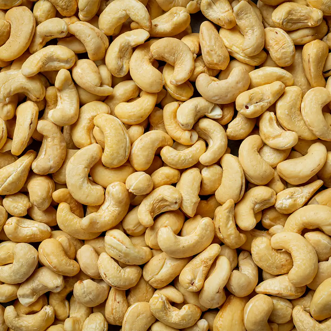 Cashew