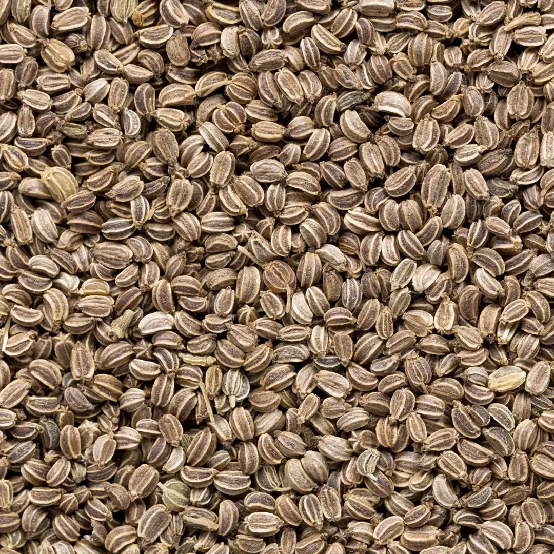Celery Seeds