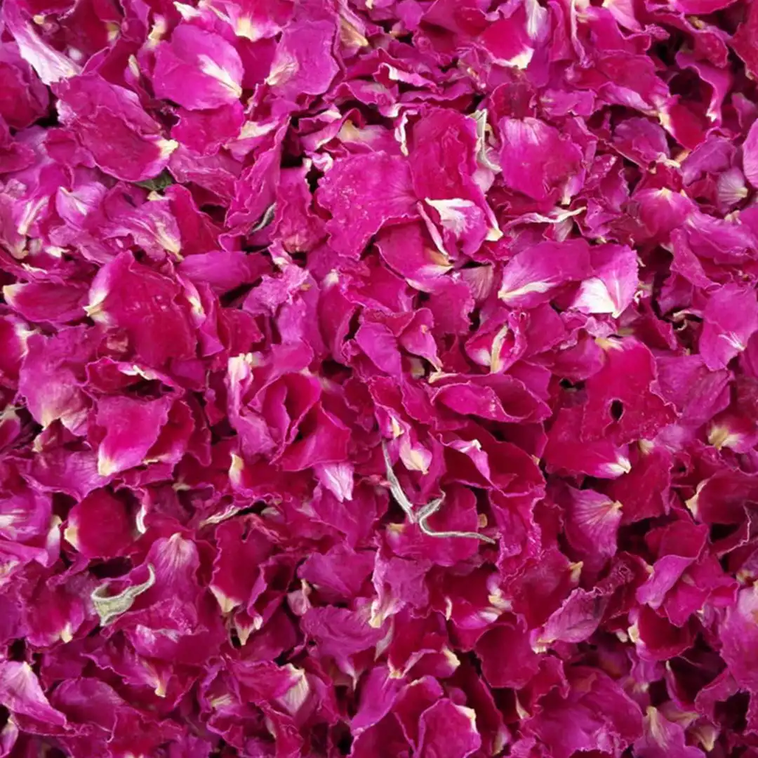 Dry Red Rose