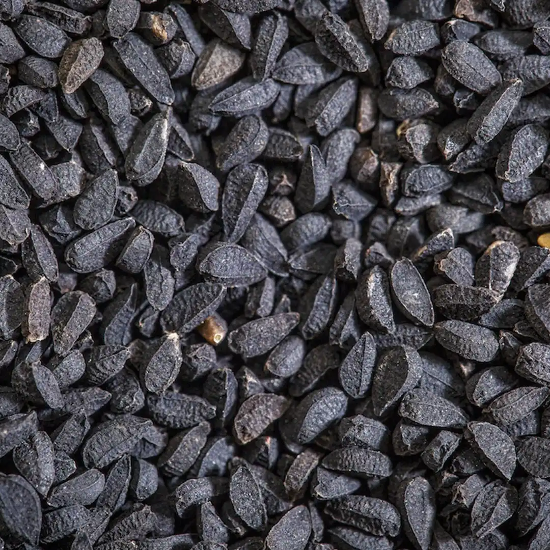 Nigella Seeds